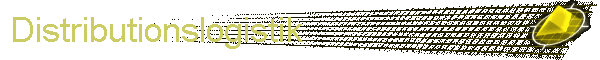 Distributionslogistik